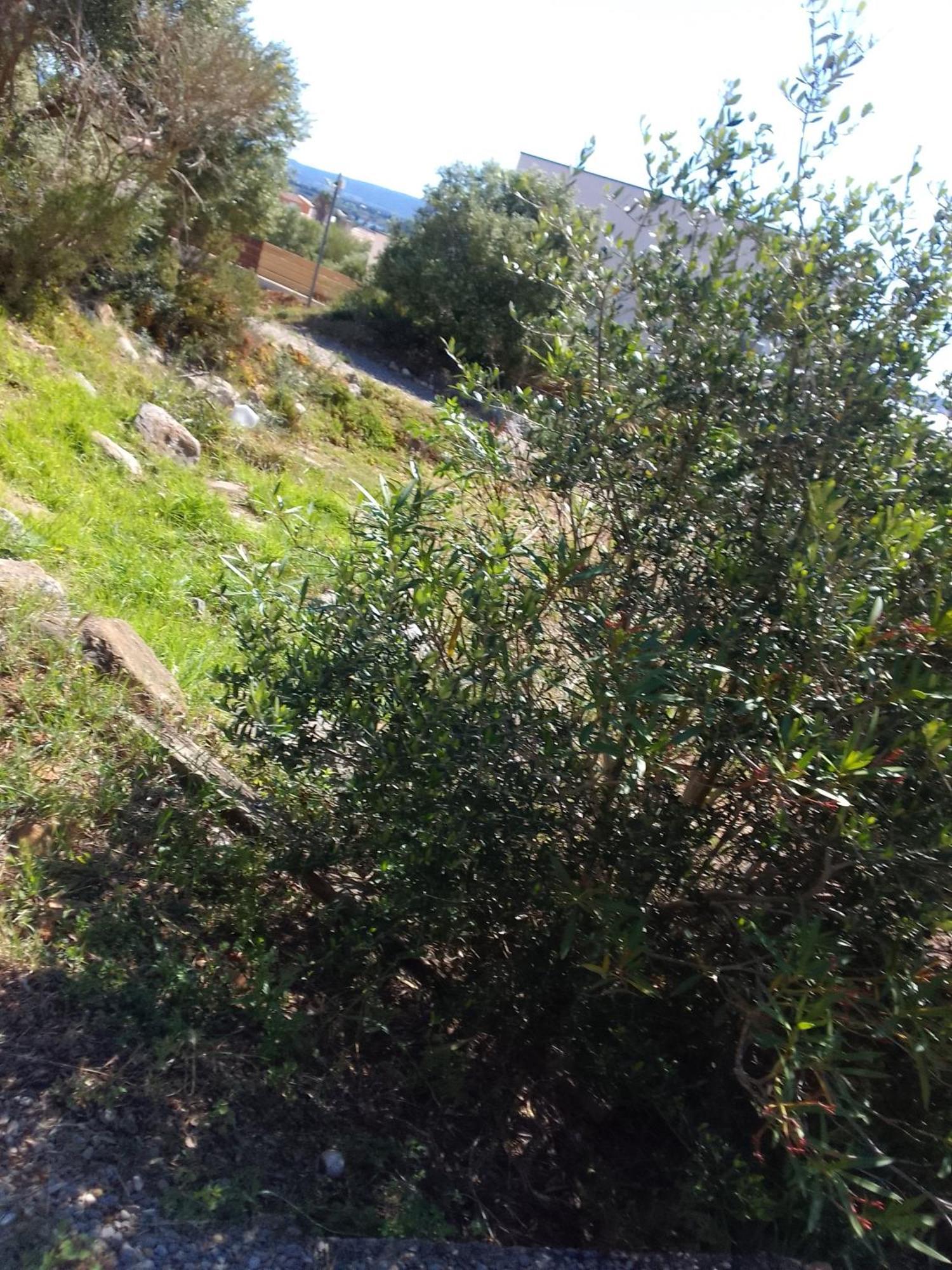 Gite De L'Etang Proche Des Grands Buffets Narbonne Exterior foto